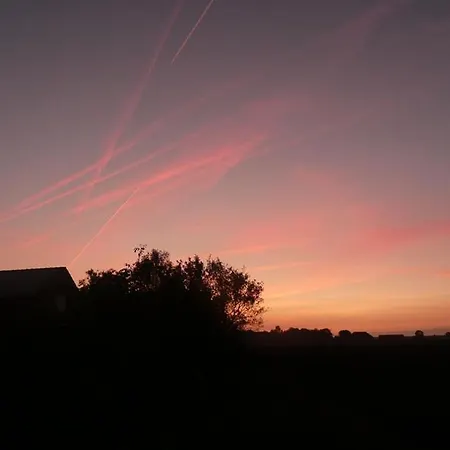 Krosse Krabbe Гретзиль